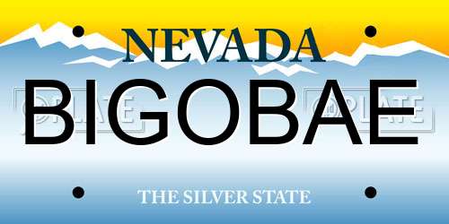 BIGOBAE Nevada License Plate