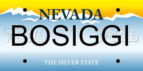 BOSIGGI Nevada License Plate