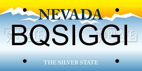 BQSIGGI Nevada License Plate