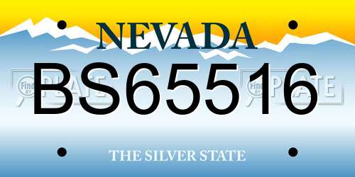 BS65516 Nevada License Plate