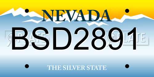 BSD2891 Nevada License Plate