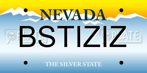BSTIZIZ Nevada License Plate