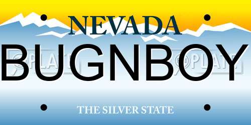 BUGNBOY Nevada License Plate