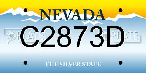 C2873D Nevada License Plate