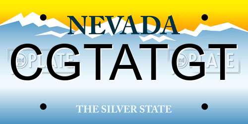 CGTATGT Nevada License Plate