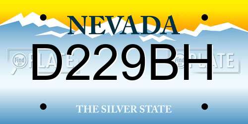 D229BH Nevada License Plate