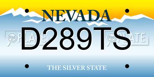 D289TS Nevada License Plate