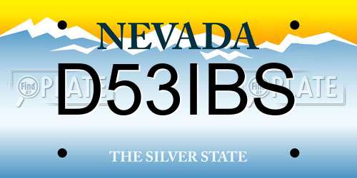 D53IBS Nevada License Plate