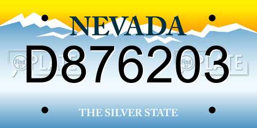 D876203 Nevada License Plate