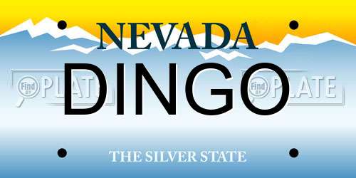 DINGO Nevada License Plate