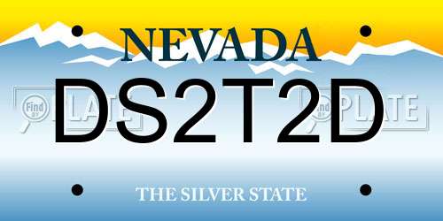DS2T2D Nevada License Plate