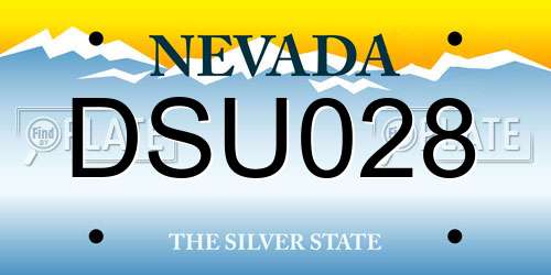 DSU028 Nevada License Plate