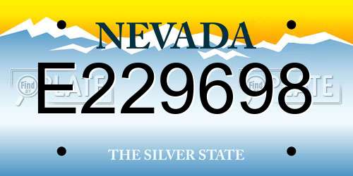E229698 Nevada License Plate