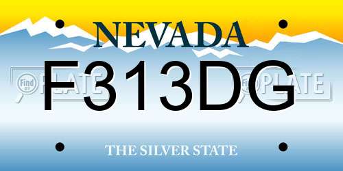 F313DG Nevada License Plate