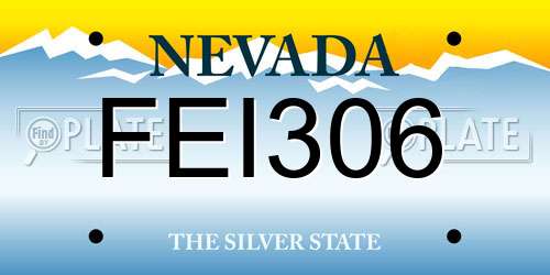 FEI306 Nevada License Plate