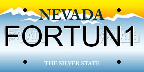 FORTUN1 Nevada License Plate