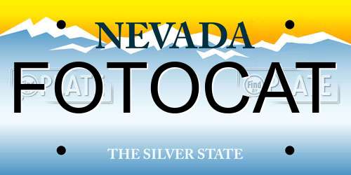 FOTOCAT Nevada License Plate