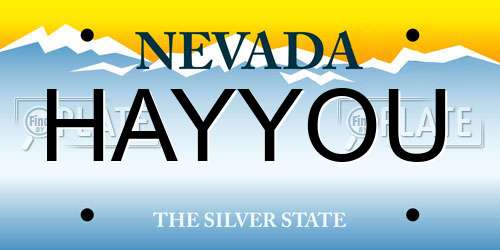 HAYYOU Nevada License Plate