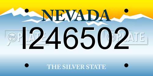 I246502 Nevada License Plate
