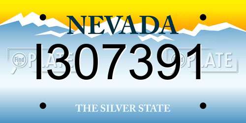 I307391 Nevada License Plate