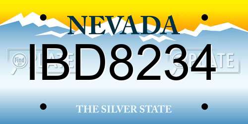 IBD8234 Nevada License Plate