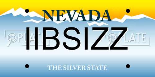 IIBSIZZ Nevada License Plate