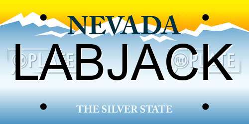 LABJACK Nevada License Plate