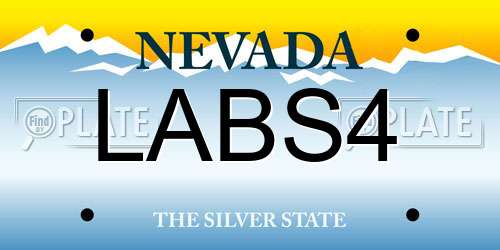 LABS4 Nevada License Plate