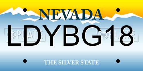 LDYBG18 Nevada License Plate