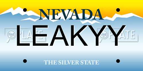 LEAKYY Nevada License Plate