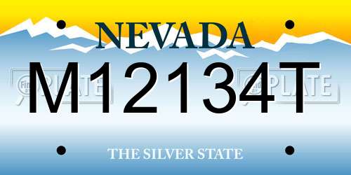 M12134T Nevada License Plate