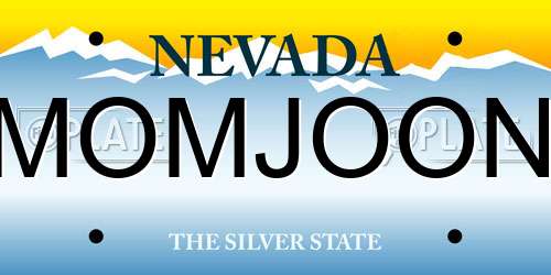 MOMJOON Nevada License Plate