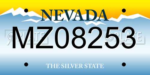 MZ08253 Nevada License Plate