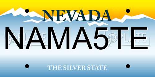 NAMA5TE Nevada License Plate