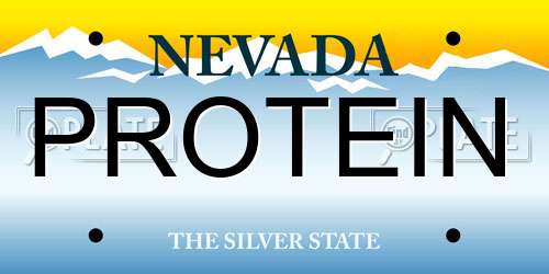 PROTEIN Nevada License Plate