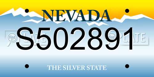 S502891 Nevada License Plate