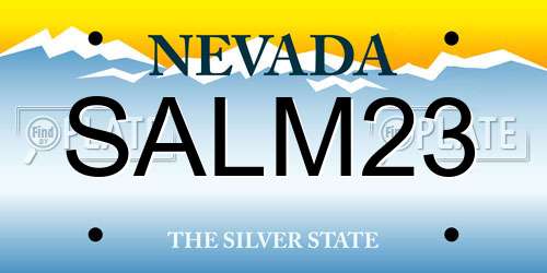 SALM23 Nevada License Plate