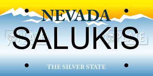 SALUKIS Nevada License Plate