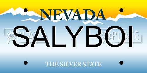 SALYBOI Nevada License Plate