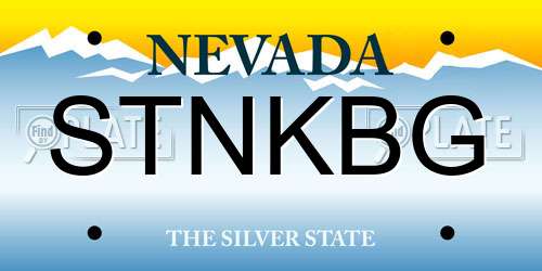 STNKBG Nevada License Plate