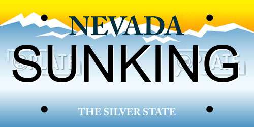 SUNKING Nevada License Plate