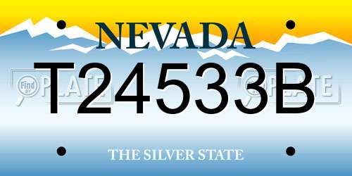 T24533B Nevada License Plate