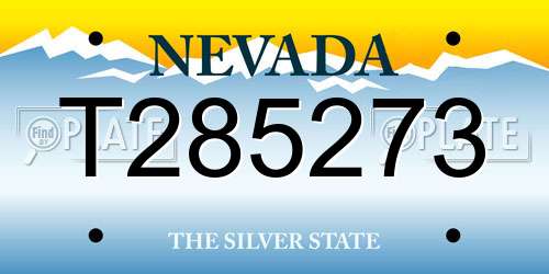 T285273 Nevada License Plate