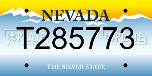 T285773 Nevada License Plate