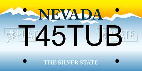 T45TUB Nevada License Plate