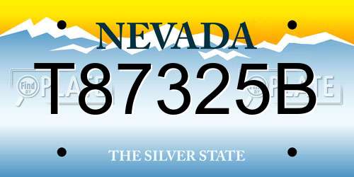 T87325B Nevada License Plate