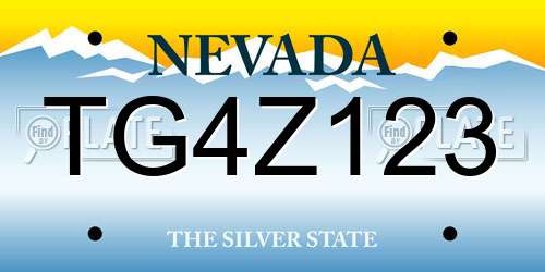 TG4Z123 Nevada License Plate