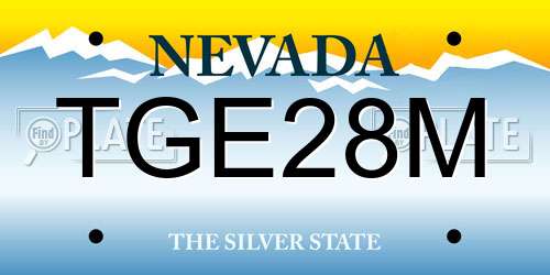 TGE28M Nevada License Plate