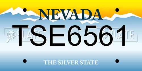 TSE6561 Nevada License Plate