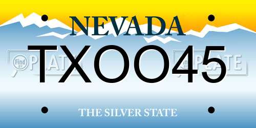 TXOO45 Nevada License Plate